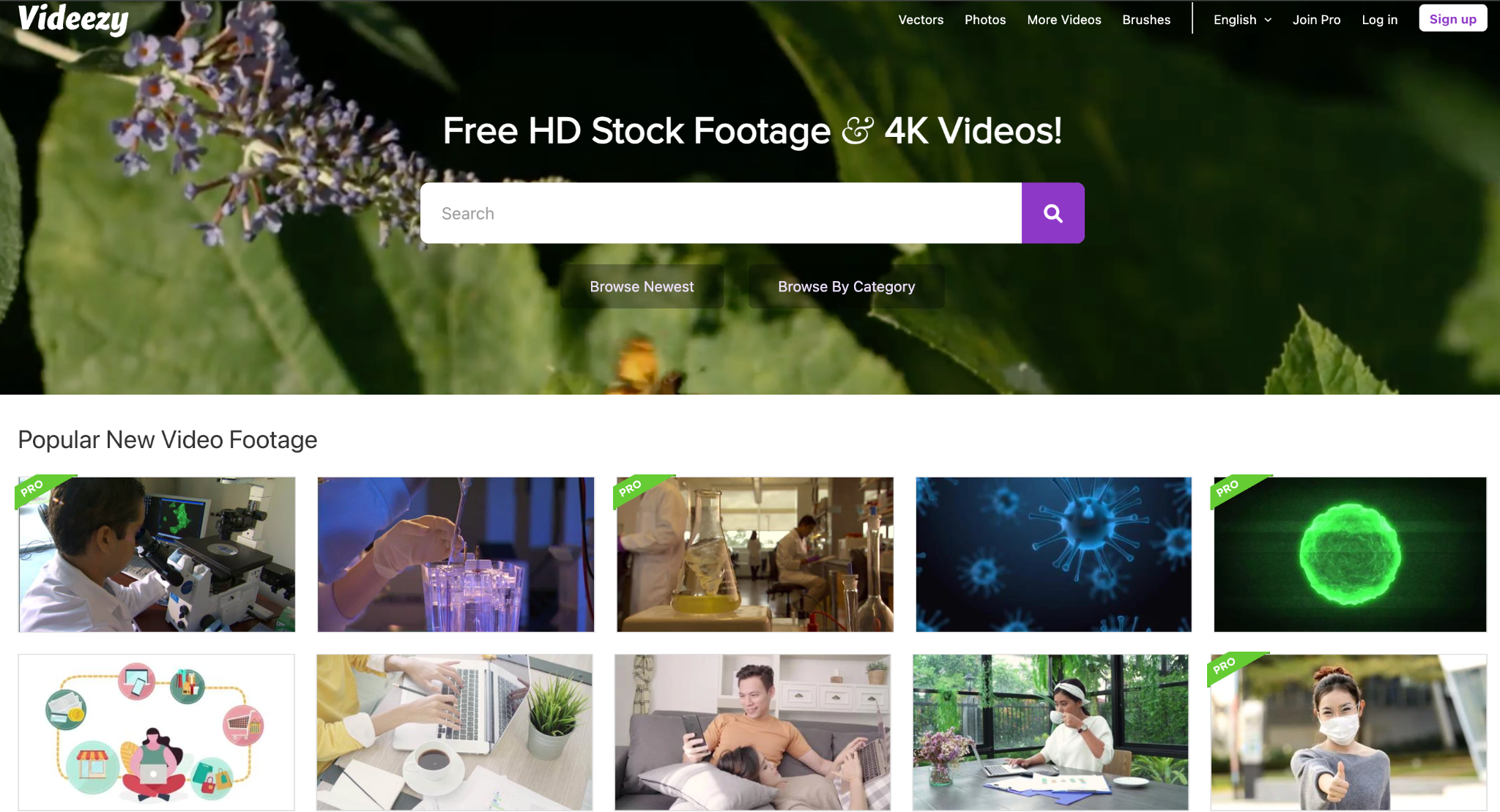 Откуда брать видеоконтент: 10 бесплатных видеостоков